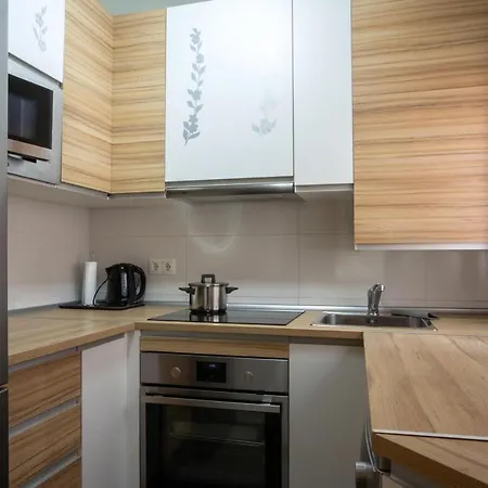 Holidays2malaga Alta Center Renovated 2 Bedrooms Wifi * Malaga